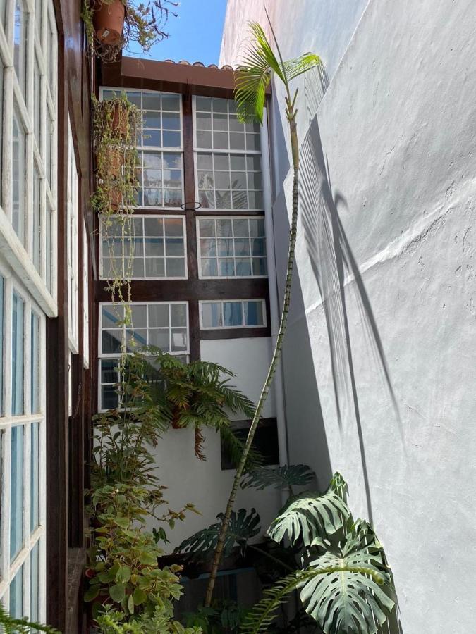 La Cubana Santa Cruz de la Palma (Isla de la Palma)
